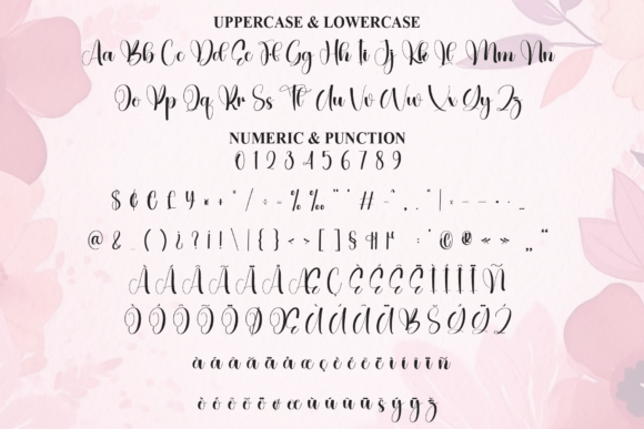 Howdy Pinky Font PNG with transparent background - Preview 6