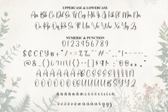 Rustic Beauty Font PNG with transparent background - Preview 6