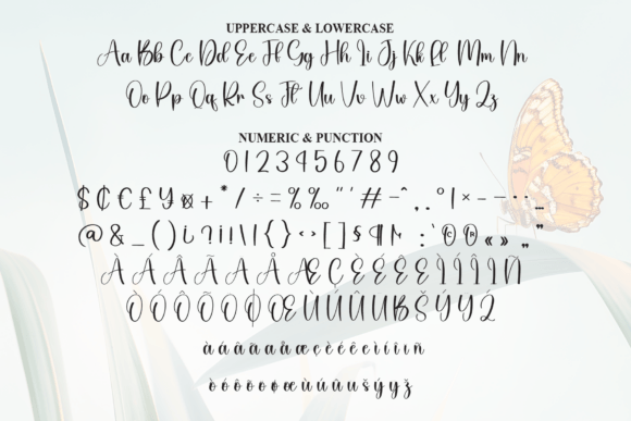 Beauty Butterfly Font - Preview 6