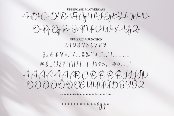 Catalina Font - Preview 6