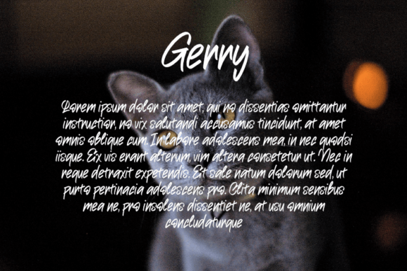 Gerry Font - Preview 2