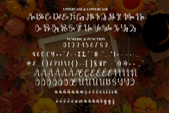 Autumn Birthday Font - Preview 6