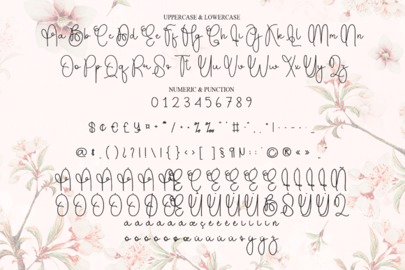 Beautiful Font - Preview 6