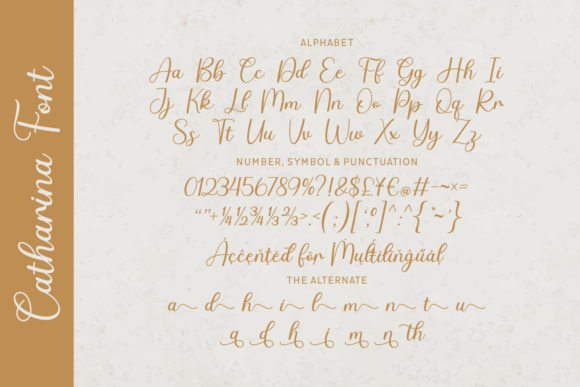 Catharina Font - Preview 3