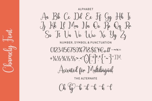 Chamely Font - Preview 1