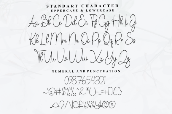 Daniel Signature Font - Preview 4