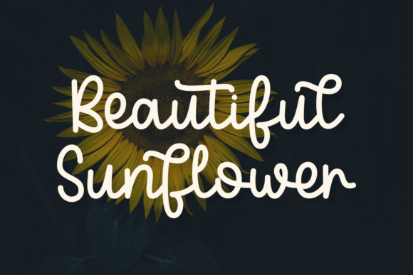Elegant Women Font - Preview 1