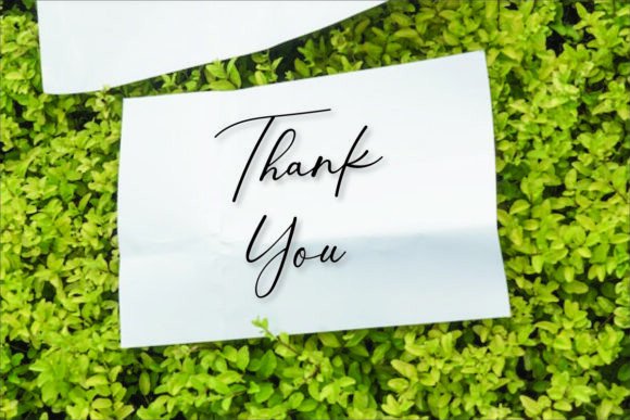 Invitation Font - Preview 4