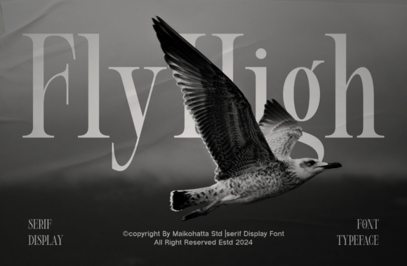 Roligh Font PNG with transparent background - Preview 5