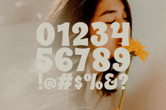 Bobolice Font - Preview 5
