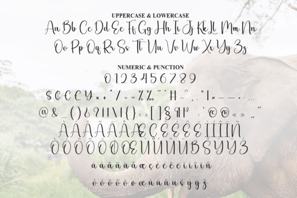 Elephant Font - Preview 6