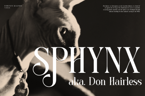 Fortun Kilfon Font - Preview 6