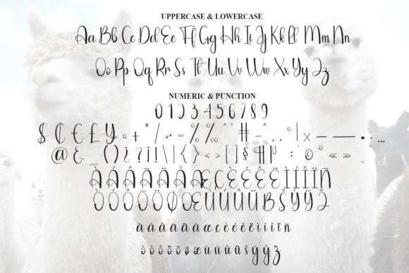 Alpaca Font - Preview 6