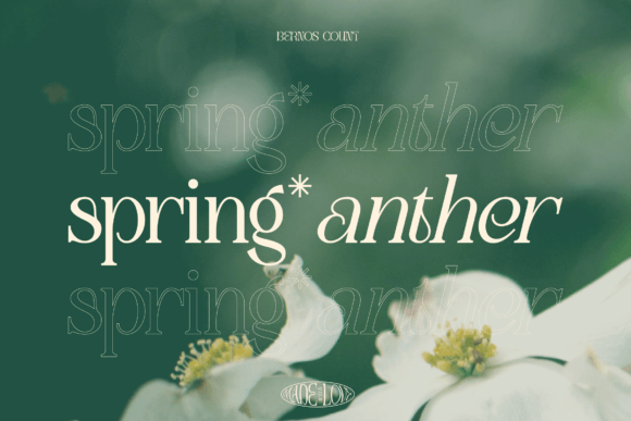 Bernos Count Font - Preview 3