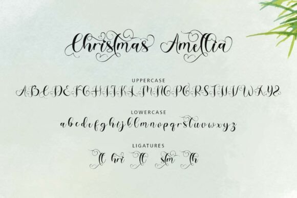 Christmas Amellia Font - Preview 6