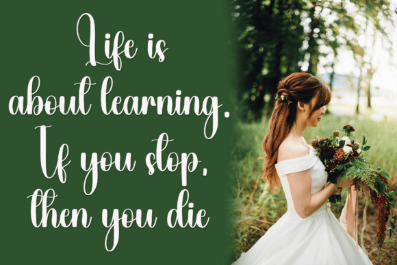 Christmas Pudding Font - Preview 2