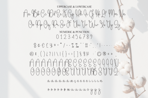 Naura Font PNG with transparent background - Preview 6