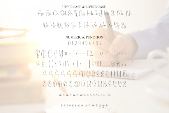 Book Signature Font - Preview 6