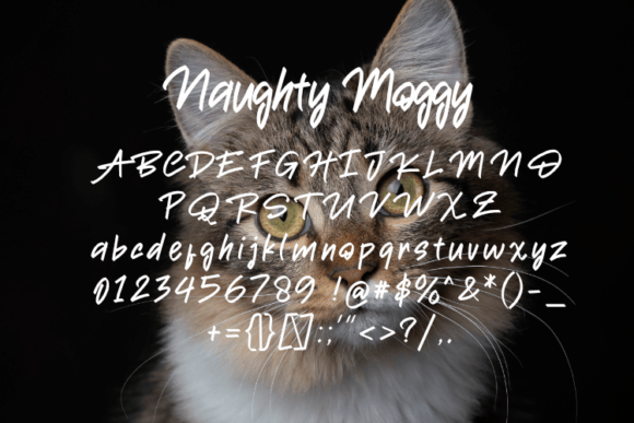 Naughty Moggy Font PNG with transparent background - Preview 1