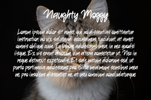 Naughty Moggy Font PNG with transparent background - Preview 2