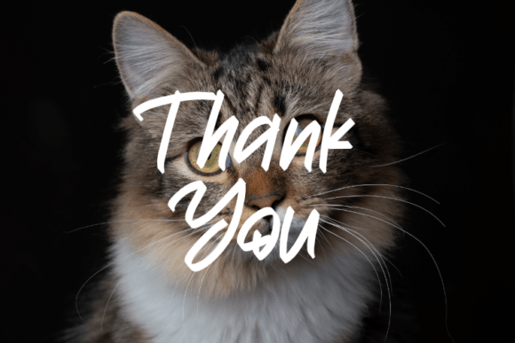Naughty Moggy Font PNG with transparent background - Preview 3
