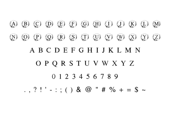 Holly Wreath Font PNG with transparent background - Preview 4