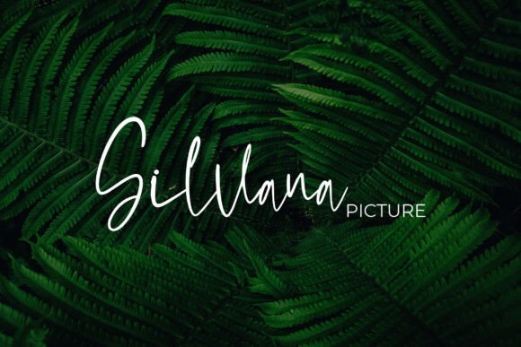 Moltena Font PNG with transparent background - Preview 2