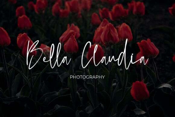 Moltena Font PNG with transparent background - Preview 3