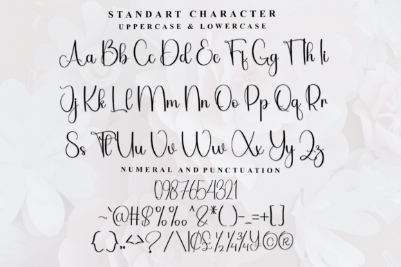 Brother Calligraphy Font - Preview 4