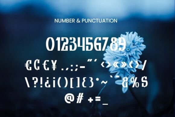Kaitszeo Font PNG with transparent background - Preview 3