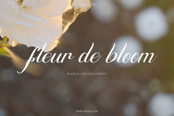 Naptira Anellian Font PNG with transparent background - Preview 1