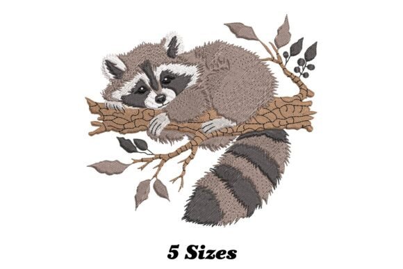 Raccoon