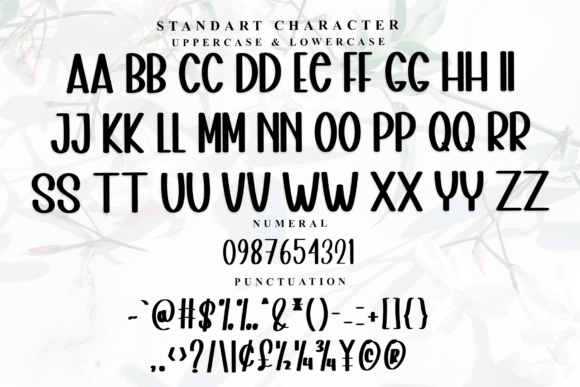 Alphabet Romance Font - Preview 4