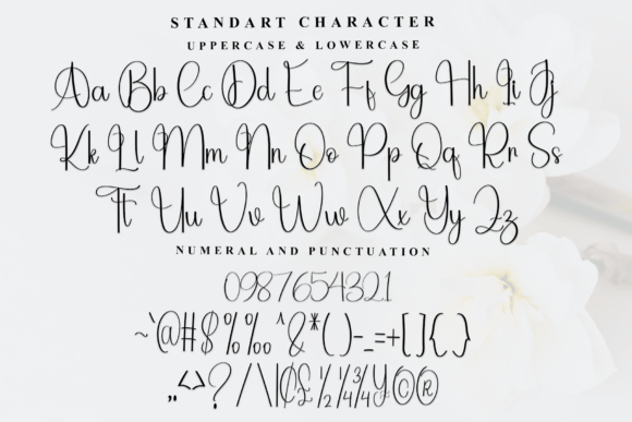 Autonomy Font - Preview 4