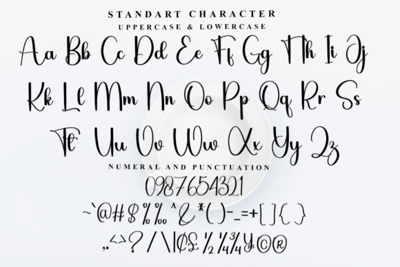 Beautiful Signature Font - Preview 4