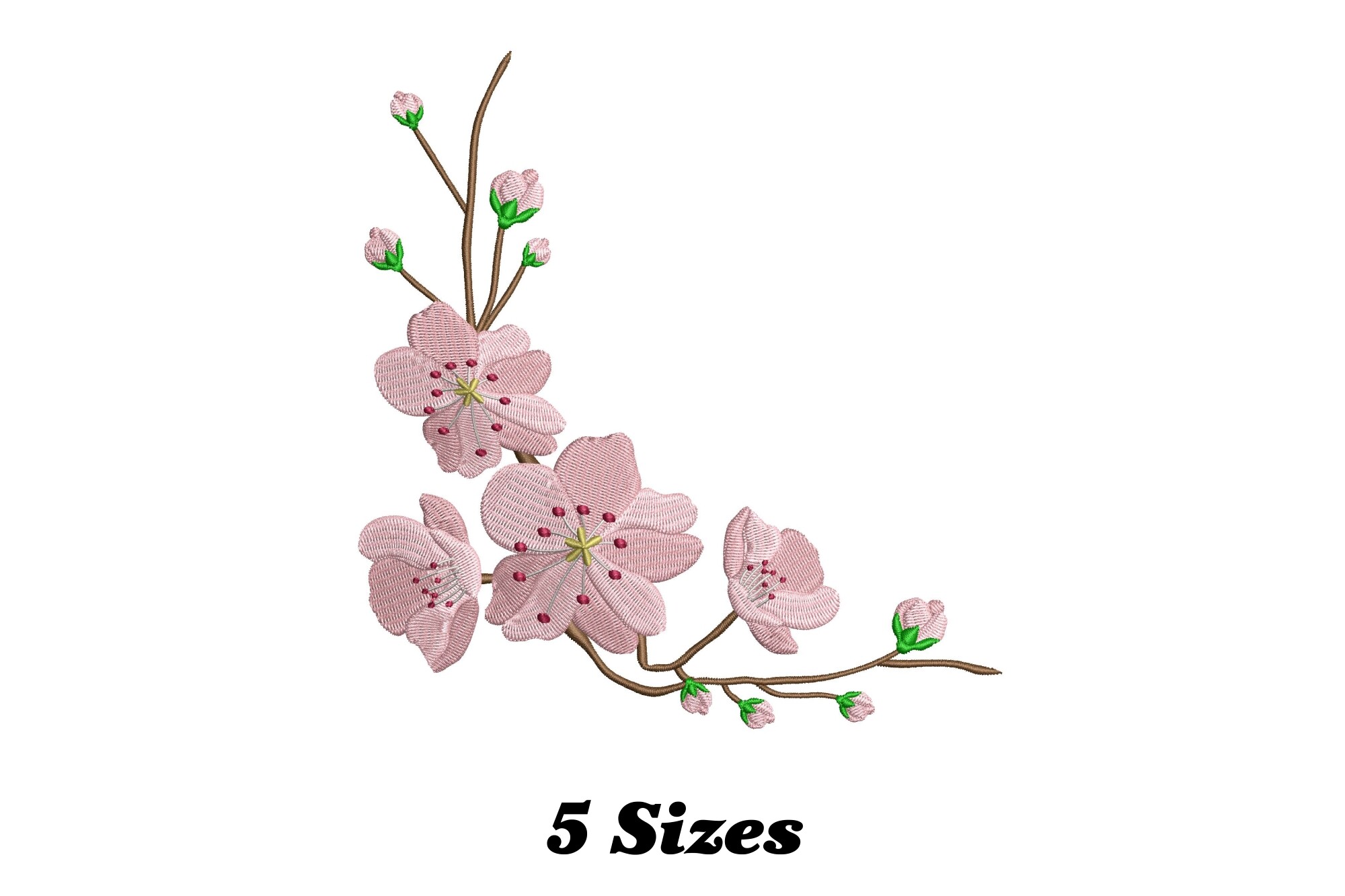 Cherry Blossom