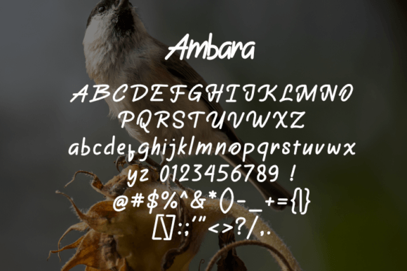 Ambara Font - Preview 1