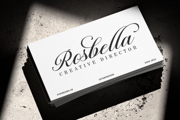 Barsela Calligraphy Font - Preview 3