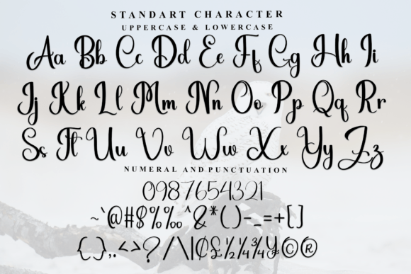 Birthday Christmas Font - Preview 4