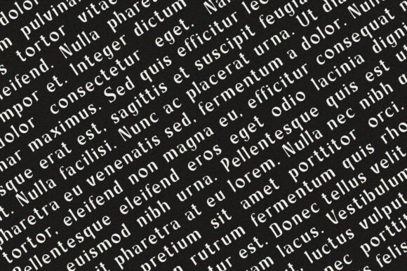 Boniface Font - Preview 3