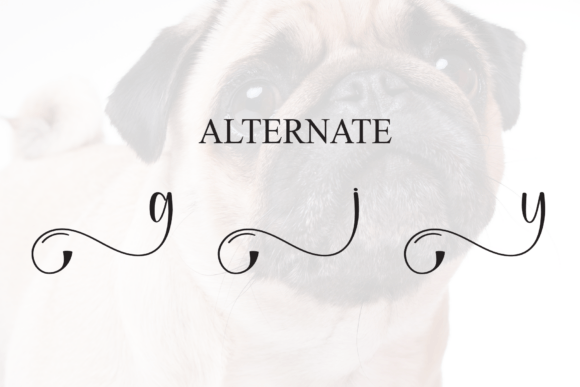 Bulldog Font - Preview 5