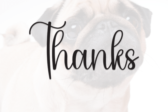 Bulldog Font - Preview 6