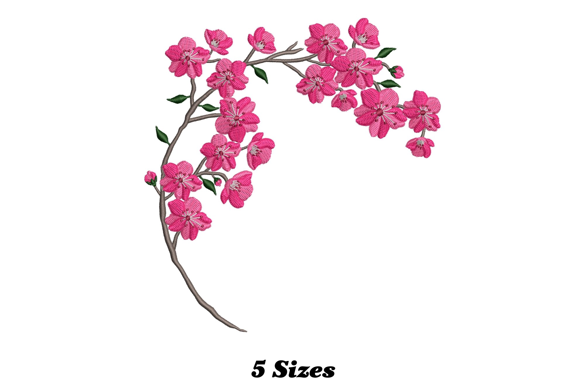 Cherry Blossom Flower