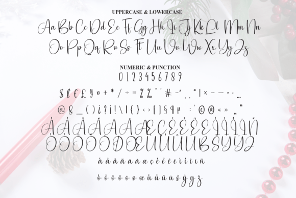 Christmas Signature Font - Preview 6