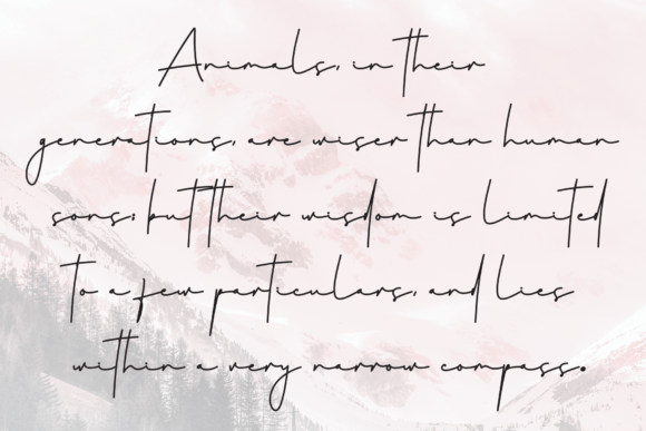 Christmas Wonderland Font - Preview 5