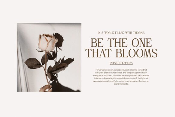 Gilvan Font - Preview 5