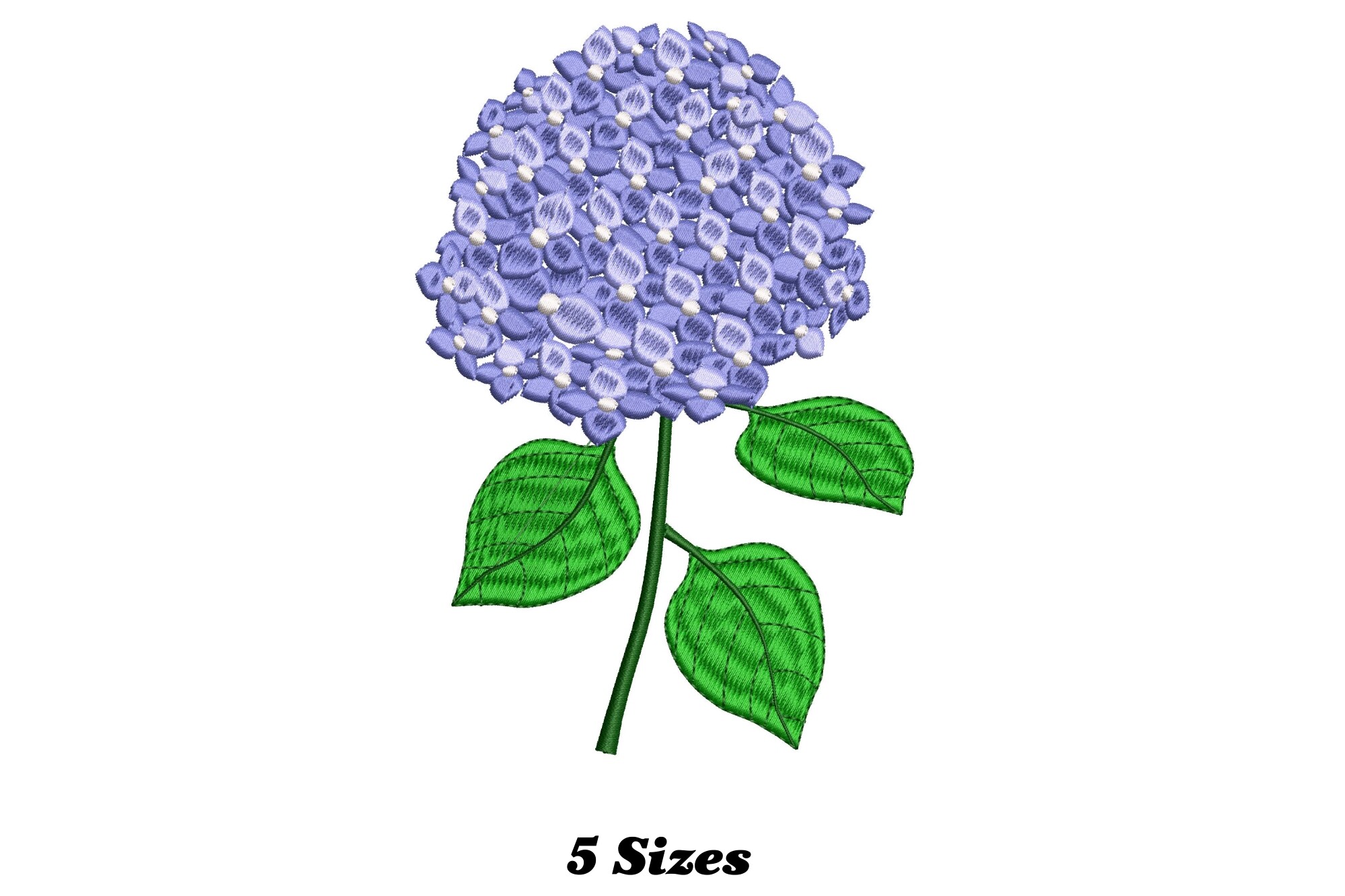 Hydrangea Flower