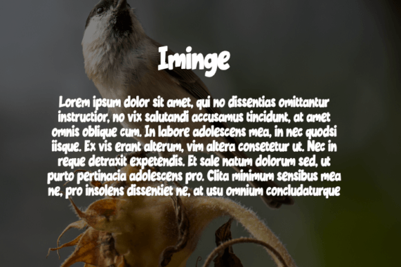 Iminge Font PNG with transparent background - Preview 2