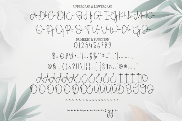 Kayla Script Font PNG with transparent background - Preview 6