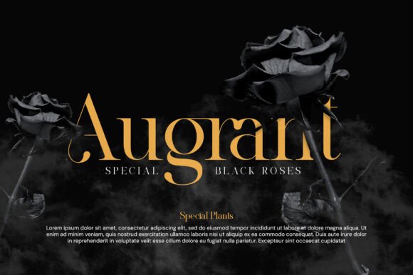 Klivora Font font preview - 4